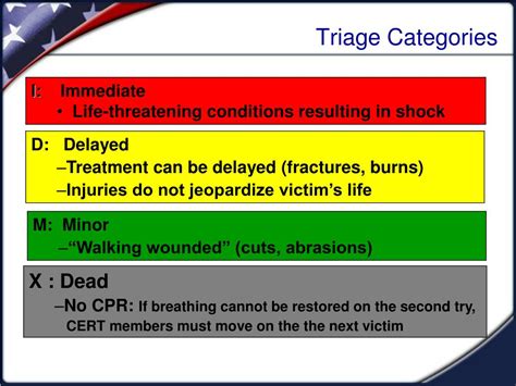 triage tagging system